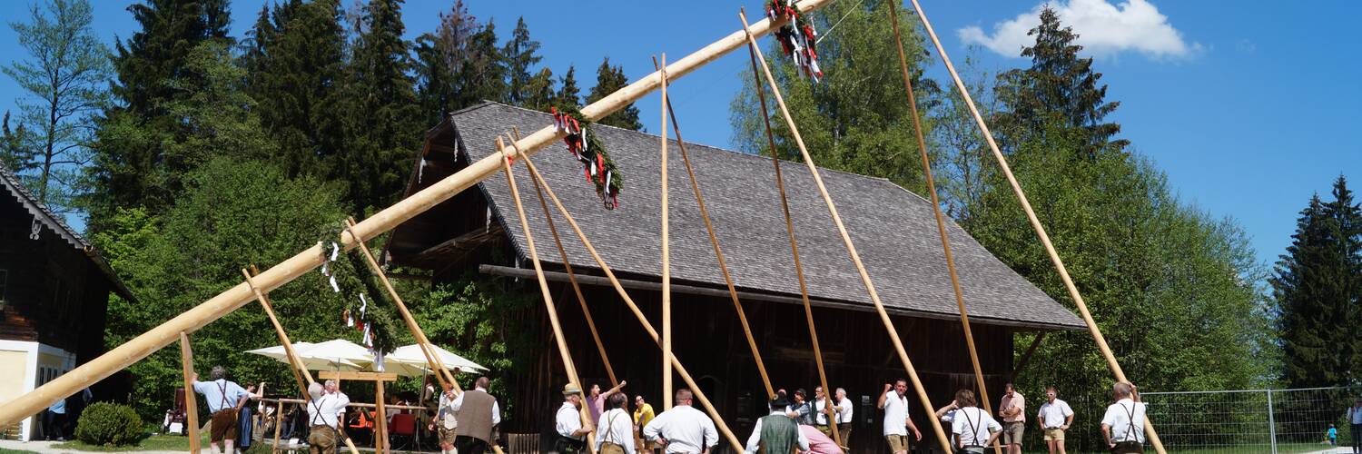 Maibaum aufstellen in Salzburg | © Tourismus Salzburg / Stefan Loidl