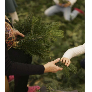 A person is handing a child a branch with green twigs. The two are standing on a floor made of fresh pine branches. | © Wressnigg