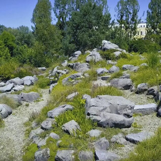 A natural area with large rocks and tall grass. In the background, trees and a building are visible. | © www.plus.ac.at
