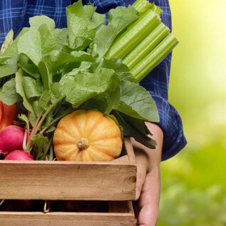 A basket of fresh vegetables, including radishes, celery, and a pumpkin, is held by a person. The background is blurred and shows a green, natural setting. | © Bio-Markt Borromäuspoint
