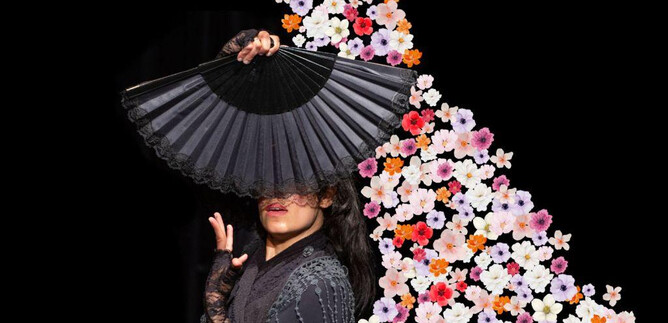 An elegant dancer holds a black fan in front of her face. Around her, colorful flowers are arranged on a black background. | © Manuel Hochmuth