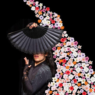 An elegant dancer holds a black fan in front of her face. Around her, colorful flowers are arranged on a black background. | © Manuel Hochmuth