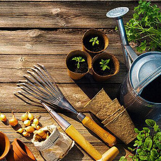 A gardening workspace with plant pots, a watering can, and gardening tools. Seeds and fresh plants are visible on the wooden surface. | © Messezentrum Salzburg