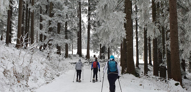 A group of people is snowshoeing through a snowy forest. The trees are covered in snow and the landscape appears wintery and serene. | © Sylvia Wienerroither