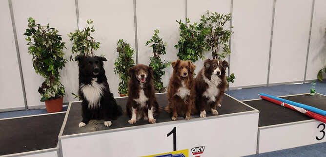 A classic car interior with a white steering wheel and many instruments. The details of the dashboard are elegant and nostalgic. | © KVS - Kynologischer Verein Salzburg