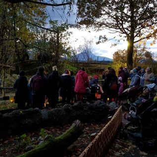 A group of people is standing in a park and looking at a beautiful landscape. It is evening and the atmosphere is calm and autumnal. | © Zoo Salzburg