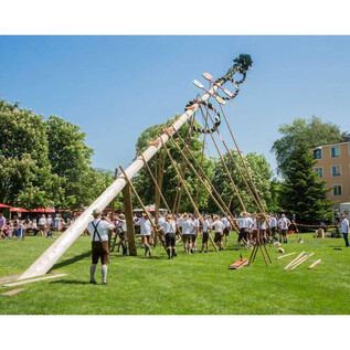 Tradiční slavnost s májovou jedlí, která je vztyčena. Lidé v krojích společně pracují na stromě na zelené louce. | © Stiegl Brauwelt