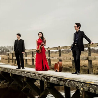Three musicians are standing on a wooden walkway, surrounded by an autumn landscape. The woman is wearing a red dress and holding a musical instrument in her hand. | © Foppe Schut