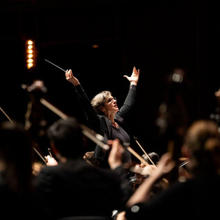 A conductor leads an orchestra with passionate gestures. The musicians play with focus, surrounded by a dark background. | © Erika Mayer