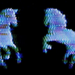Two stylized horses in vibrant colors on a black background. The outlines are presented in a pixelated appearance. | © Michael Perl