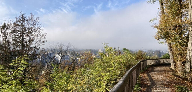 A picturesque path with wooden railings, surrounded by trees and a radiant blue sky. Gentle wisps of mist can be seen in the background. | © Benjamin Huber