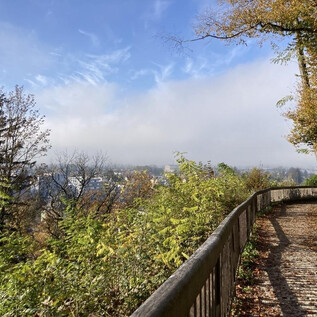 A picturesque path with wooden railings, surrounded by trees and a radiant blue sky. Gentle wisps of mist can be seen in the background. | © Benjamin Huber